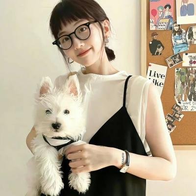 世界街头女斗士3 在线观看
