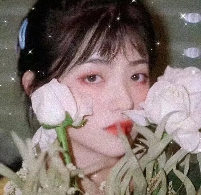 恶兽 在线观看